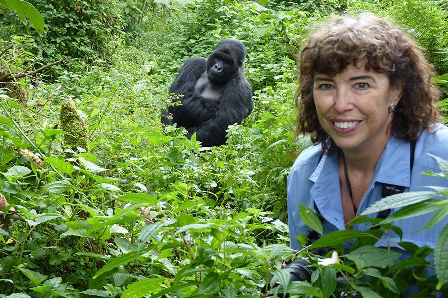 Gorilla trekking in Uganda Rwanda