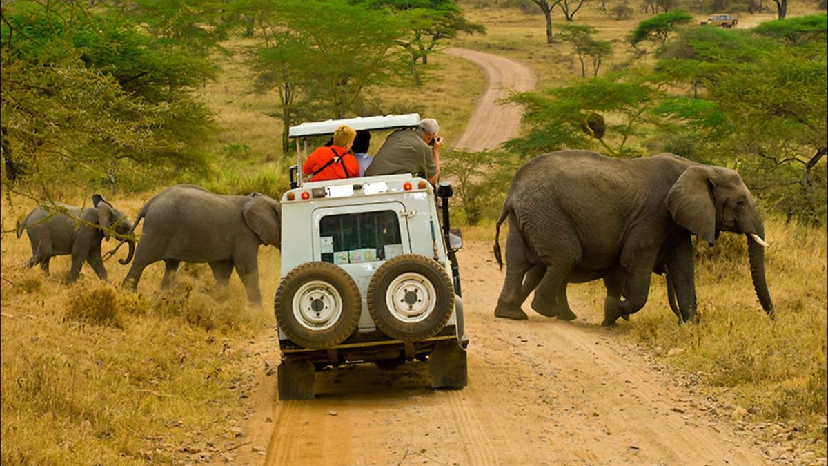 Safari Experiences in East Africa For Your Summer Bucket list