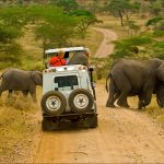 Safari Experiences in East Africa For Your Summer Bucket list