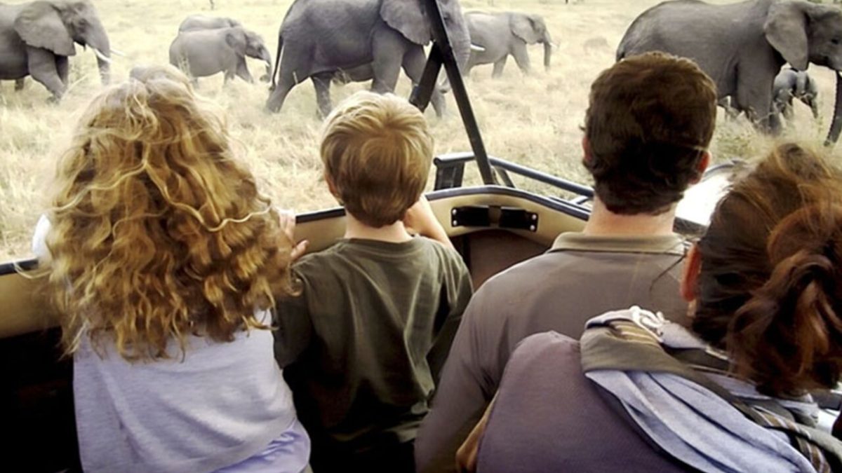safari With A friend