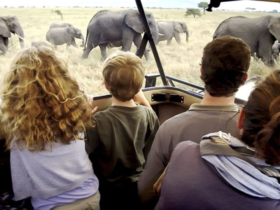 safari With A friend