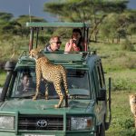 safari With A friend