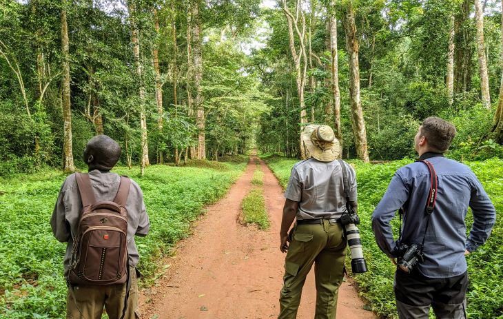 Birding in Royal Mile Budongo