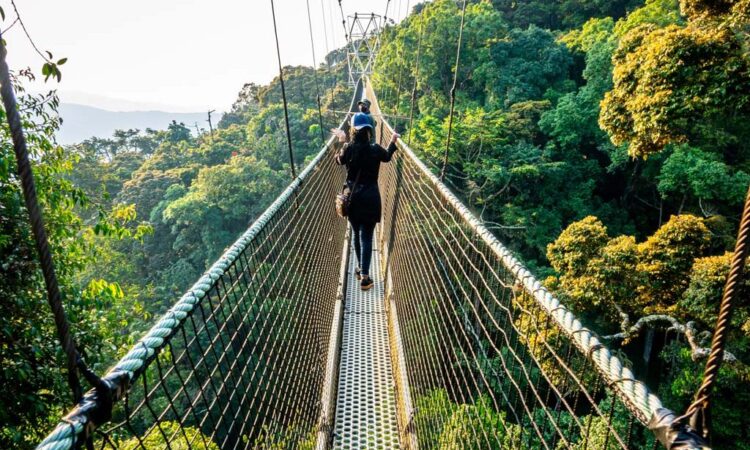 2 Days Nyungwe Forest Safari