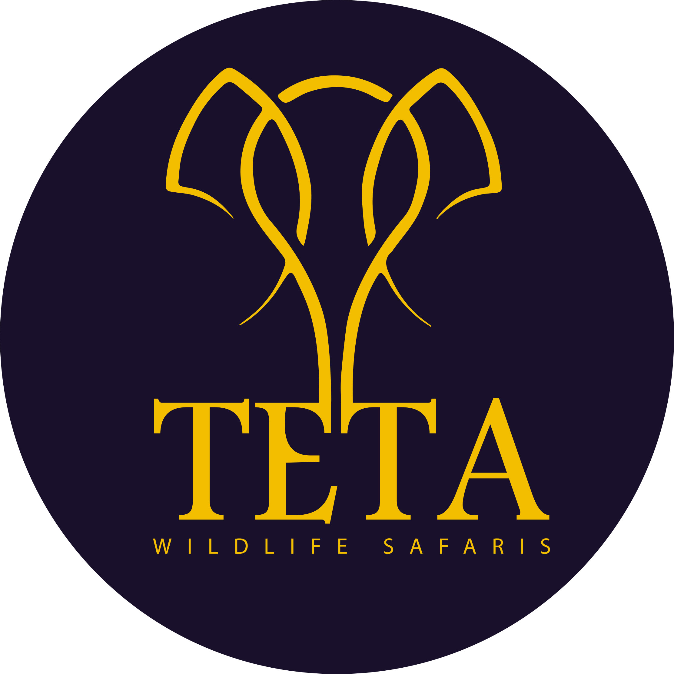 TETA FINAL LOGO 1