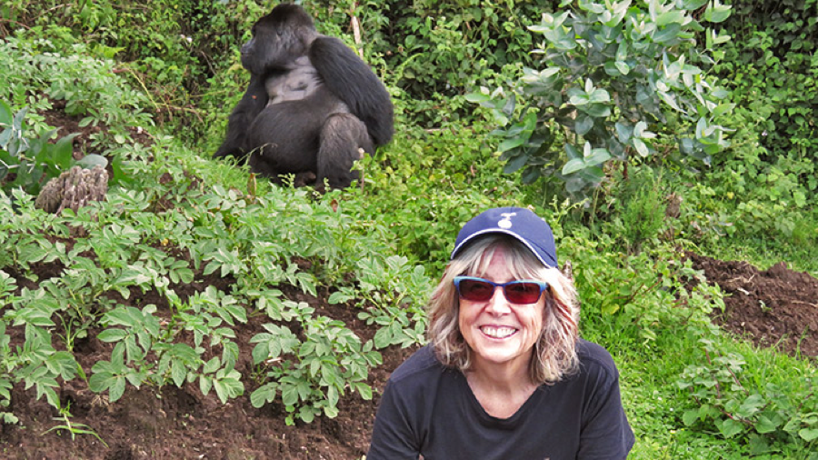 3 Days Rwanda Gorilla Trekking Tour