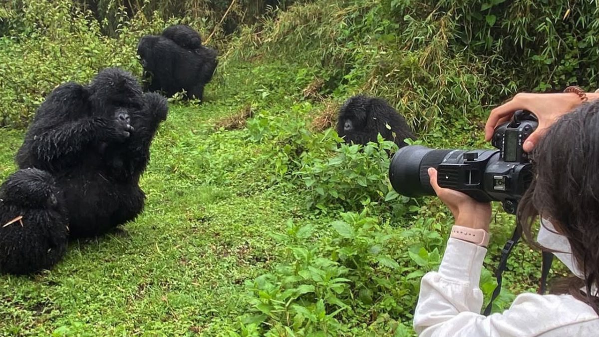 How Much Does a Uganda Safari Cost?