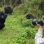 How Much Does a Uganda Safari Cost?