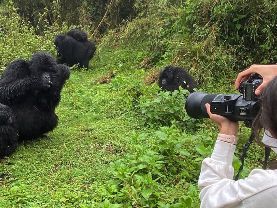 How Much Does a Uganda Safari Cost?